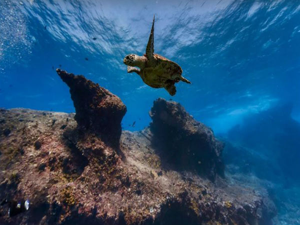  ಗೂಗಲ್‌ ಸ್ಟ್ರೀಟ್ ವ್ಯೂ- ಪೆಡ್ರಾಸ್‌ ಸೆಕಾಸ್