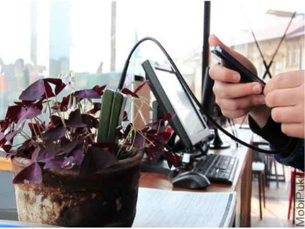  ದ್ಯುತಿಸಂಶ್ಲೇಷಣೆ ವೇಳೆ ಶಕ್ತಿ ಉತ್ಪಾದನೆ