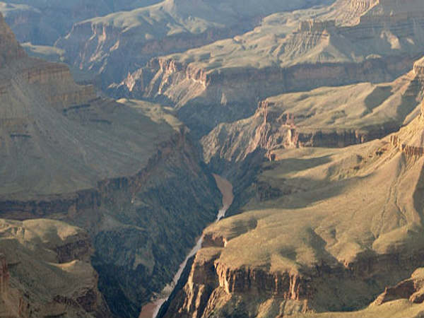 ಅರಿಜೊನಾ 