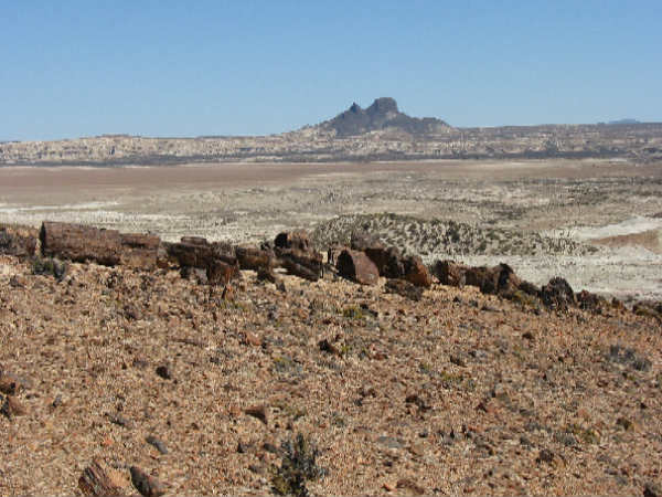 800 ಮಿಲಿಯನ್ ವರ್ಷಗಳಲ್ಲಿ ಭೂಮಿಯ ಜೀವಿಯ ನಾಶ 
