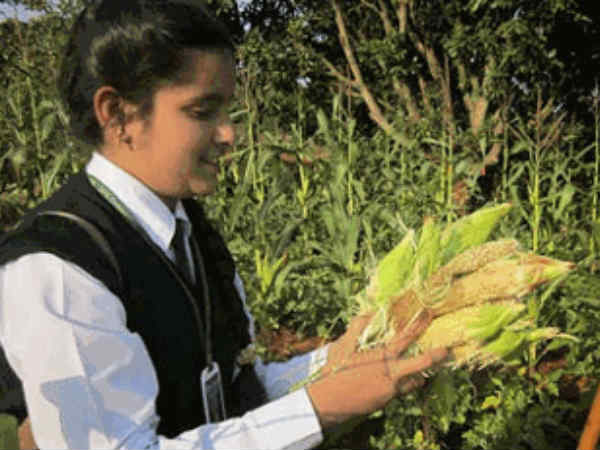 ಬಹುದೊಡ್ಡ ಸುಸಂದರ್ಭ