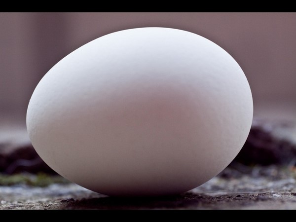 ಮೊಟ್ಟೆ ಮತ್ತು ಪೊಟ್ಯಾಶಿಯಮ್ ಅಲ್ಯುಮಿನಿಯಮ್ ಸಲ್ಫೇಟ್ 