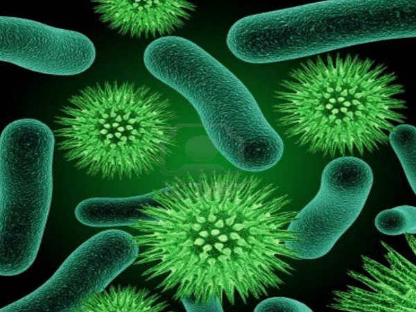 ಮಾರ್ಸ್‌ನ ಬ್ಯಾಕ್ಟೀರಿಯಾಗಳು ತುಂಬಾ ಸಣ್ಣದು