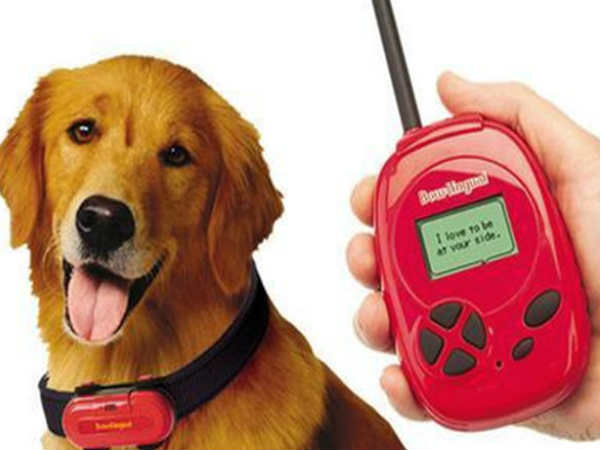 DOG TRANSLATOR DOG TRANSLATOR