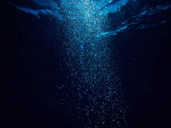 ವೈರಸ್ ವೈರಸ್