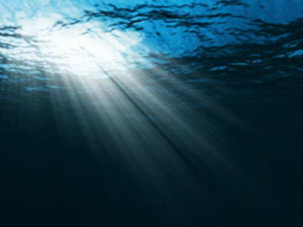 ಜೀನ್ ಜೀನ್