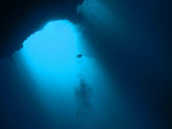 ಸಾಗರ ತಳ ಸಾಗರ ತಳ