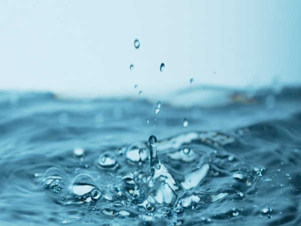 ವೆಬ್ ಪ್ರವೇಶ