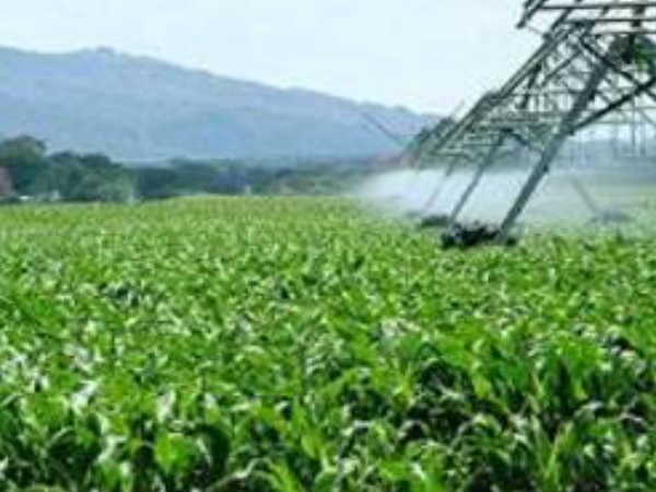 ಹೊಸ ಮಟ್ಟದ ವಿವರ