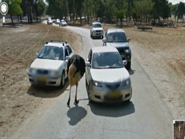 ಸರ್‌, ತಿನ್ನೋಕೆ ಏನಾದ್ರು ತಿಂಡಿ ಇದ್ರೆ ಕೊಡಿ 