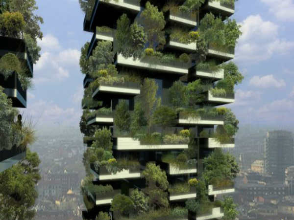 ಕಾಡಿನ ನಗರದಲ್ಲಿ ನೆಟ್ಟ ಗಿಡಗಳು ಕಾಡಿನ ನಗರದಲ್ಲಿ ನೆಟ್ಟ ಗಿಡಗಳು