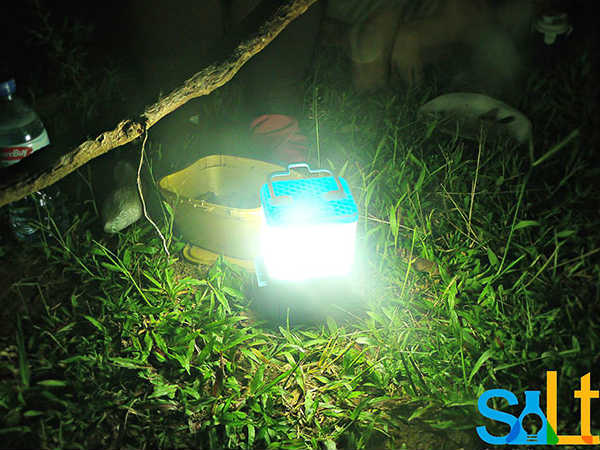 Saltlight ಏನಿದು?