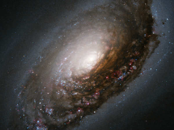 ಕಪ್ಪು ಚುಕ್ಕೆಗಳ ಪ್ರಕ್ಶುಬ್ದತೆ