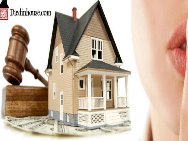 ವೆಬ್‌ಸೈಟ್ 