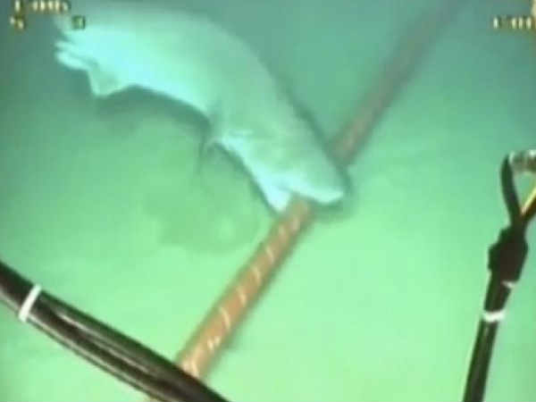 ಶಸ್ತ್ರಾಸ್ತ್ರಗಳ ರಕ್ಷಣೆ ಶಸ್ತ್ರಾಸ್ತ್ರಗಳ ರಕ್ಷಣೆ