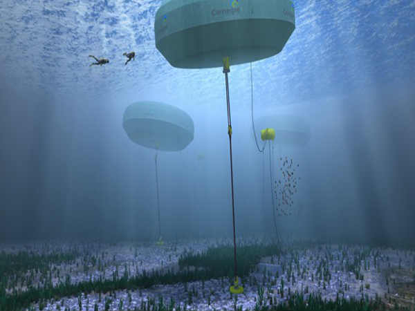 ಕಾರ್ನೆಗೀ ವೇವ್‌ ಎನರ್ಜಿ