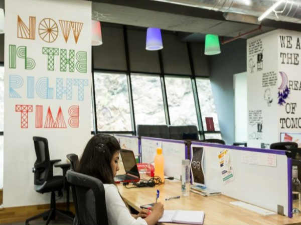 ಪರ್ಪಲ್ ಸ್ಕ್ವಿರೆಲ್