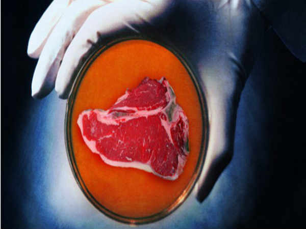 ಲ್ಯಾಬ್‌ನಲ್ಲಿ ಅಭಿವೃದ್ದಿಗೊಂಡ ಮಾಂಸ