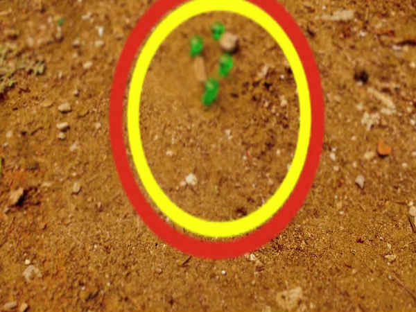 ಏಲಿಯನ್ ಪತ್ತೆ ಹೇಗೆ ? ಏಲಿಯನ್ ಪತ್ತೆ ಹೇಗೆ ?