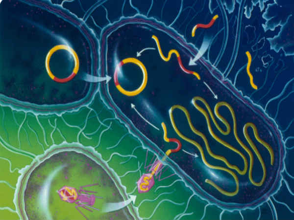 Technologies for Host Resilience(THoR) and Pathogen Predators Technologies for Host Resilience(THoR) and Pathogen Predators