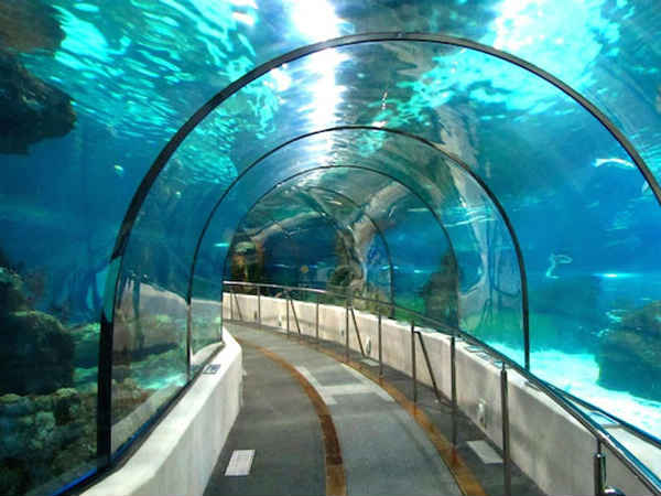 ಬುಲೆಟ್‌ ರೈಲು ವೇಗ 