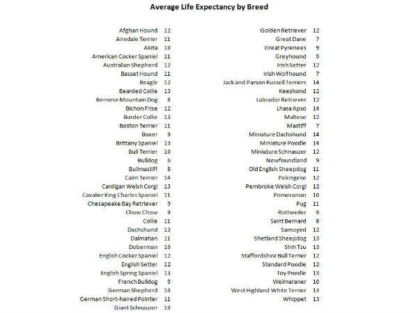 ನಾಯಿಗಳ ಜೀವಿತಾವಧಿ 
