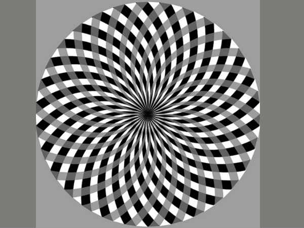 31 31