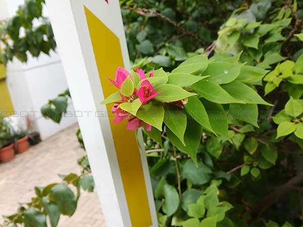 ಕ್ಷಿಪ್ರ ಕ್ಷಿಪ್ರ
