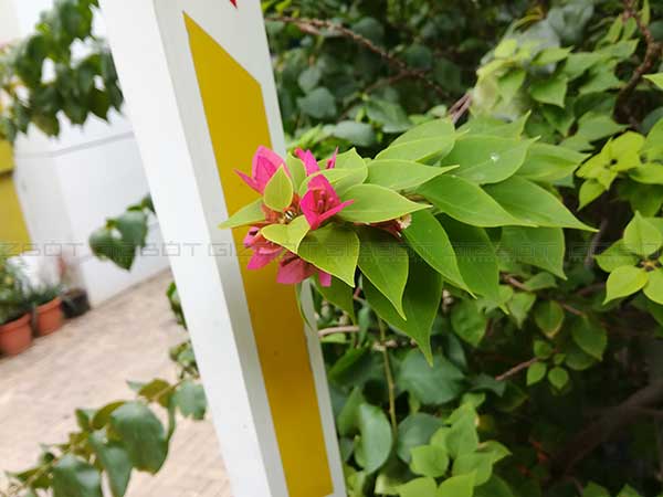 ಕ್ಷಿಪ್ರ