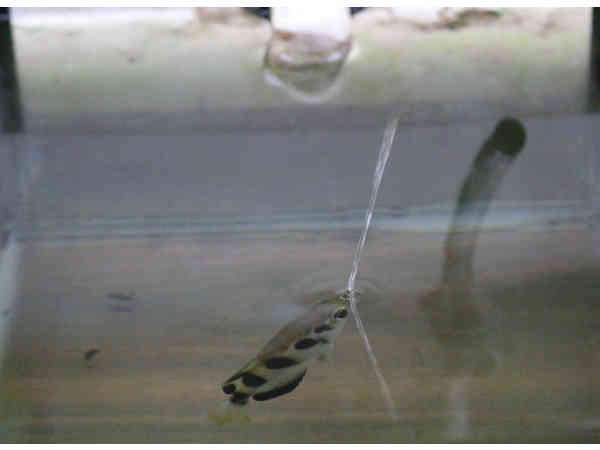 ಅಧ್ಯಯನದ ಲೇಖಕರು ಅಧ್ಯಯನದ ಲೇಖಕರು