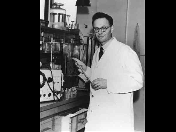 1953 1953