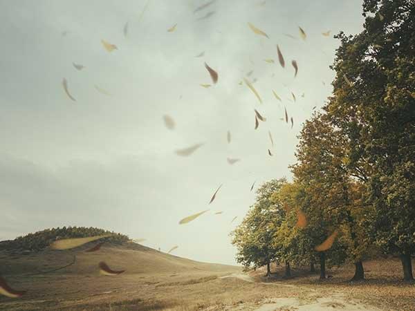  ನಿಮ್ಮ ಸ್ಮಾರ್ಟ್‌ಫೋನ್ ಅನ್ನು ಗಾಳಿಗೆ ಹಿಡಿದು ಚಾರ್ಜ್‌ ಮಾಡಿ 