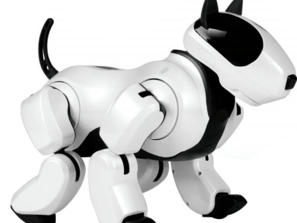 ಆಡಿಯೋ ಕಾಲ್​ ಮಾಡಬಹದು!!