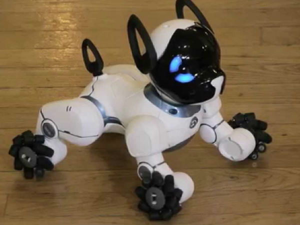 ನಿಮ್ಮನ್ನು ಗುರುತಿಸಬಲ್ಲದು ಈ ರೋಬಾಟ್ ನಾಯಿ!!