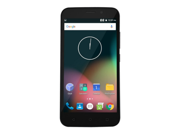 ರಿಂಗಿಂಗ್ ಬೆಲ್ ಎಲಿಗೆಂಟ್