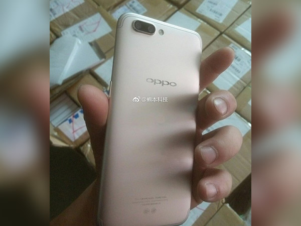 ಹತ್ತಿರದಿಂದ ನೋಡುವುದಾದರೆ: