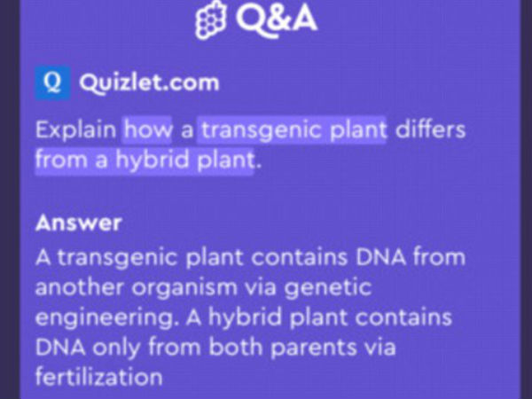 ಬೋಧಿಸುವ ರೀತಿಯಲ್ಲಿಯೇ ಇರಲಿದೆ ಆಪ್ ಕಾರ್ಯ.!!