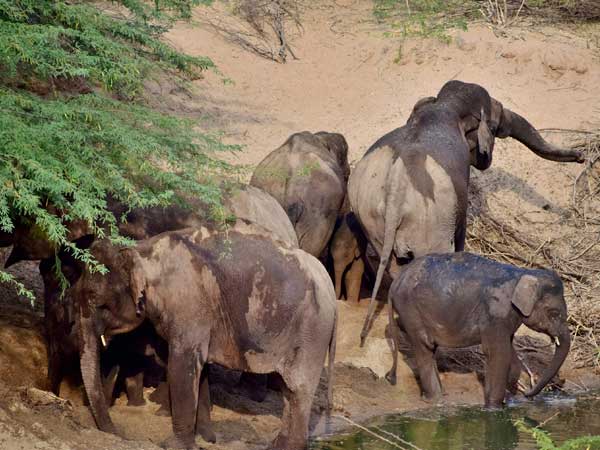ಸೆನ್ಸಾರ್ ಸಿಸ್ಟಮ್ ಹೇಗೆ ಕೆಲಸ ಮಾಡುತ್ತದೆ.?