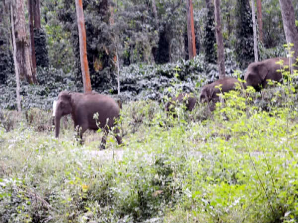 ಉಪಕರಣದ ಬಳಕೆ ಕೂಡ ಸುಲಭ!!