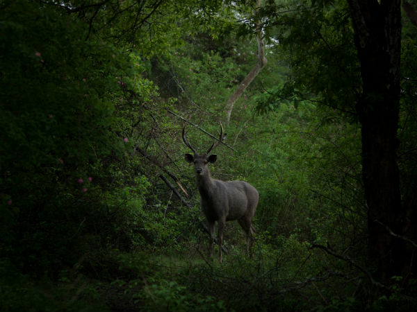 ರೈತರಿಗೆ ಮಾಹಿತಿ ಸಹ ಒದಗಿಸುತ್ತದೆ.!! 
