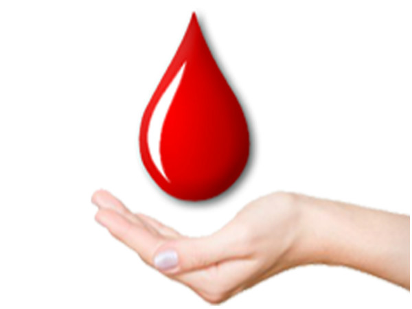 ಇಂಜಿನಿಯರಿಂಗ್ ವಿದ್ಯಾರ್ಥಿಗಳು ಅಭಿವೃದ್ಧಿಪಡಿಸಿರುವ ಆಪ್: ಇಂಜಿನಿಯರಿಂಗ್ ವಿದ್ಯಾರ್ಥಿಗಳು ಅಭಿವೃದ್ಧಿಪಡಿಸಿರುವ ಆಪ್: