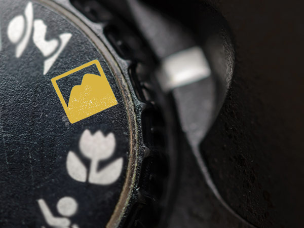 ಲ್ಯಾಂಡ್ಸ್ಕೇಪ್ ಮೋಡ್