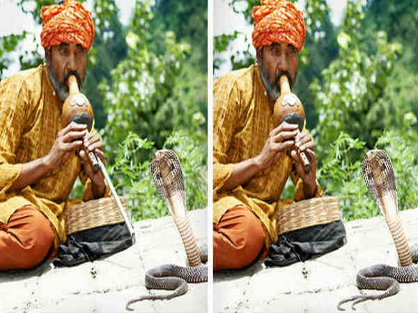  ಒಂದೇ ರೀತಿ ಕಾಣುವ ಫೋಟೊಗಳಲ್ಲಿ ವ್ಯತ್ಯಾಸವಿದೆ!!..ಗುರಿತಿಸಲು ಸಾಧ್ಯವೇ ನಿಮಗೆ? 