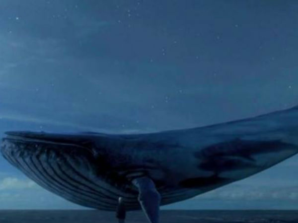 ಮಕ್ಕಳ ಬಗ್ಗೆ ಎಚ್ಚರವಹಿಸಿ: