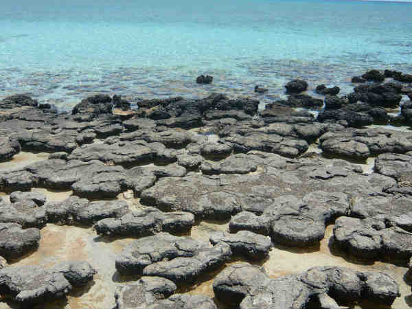 ಕಲ್ಲುಗಳನ್ನು ಪುಡಿಮಾಡಿ ಅಧ್ಯಯನ!!