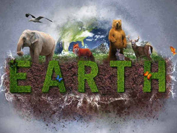 650 ಮಿಲಿಯನ್ ವರ್ಷಗಳ ಹಿಂದೆ.!!