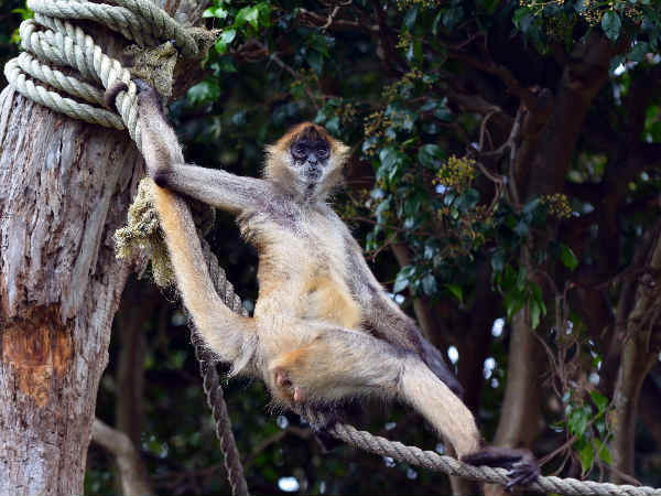 ಸಾಗರಗಳಿಂದ!!