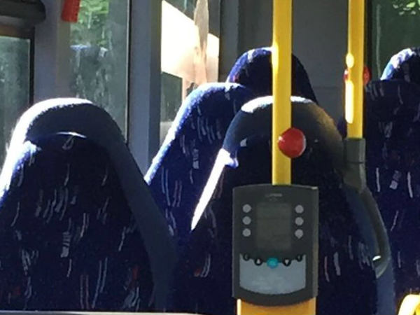 ಈ ಫೋಟೋದಲ್ಲಿರುವುದೇನು..? ನೀವು ಕಾಣುತ್ತಿರುವುದು ಸುಳ್ಳು! ಈ ಫೋಟೋದಲ್ಲಿರುವುದೇನು..? ನೀವು ಕಾಣುತ್ತಿರುವುದು ಸುಳ್ಳು!