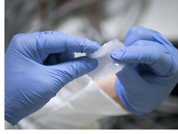 ನೀರು ಆಧಾರಿತ ಎಲೆಕ್ಟ್ರೋಲೈಟ್: