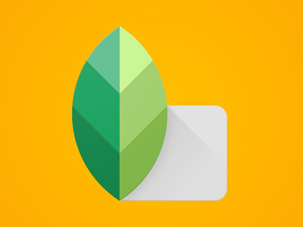 ಸ್ನ್ಯಾಪ್‌ಸೀಡ್